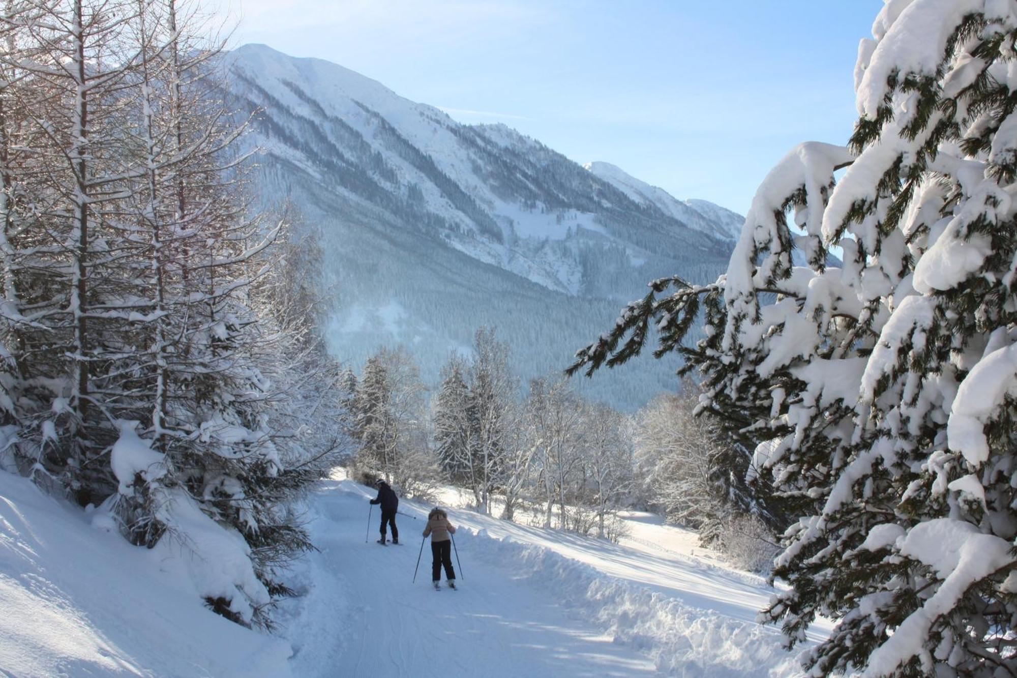 Weitenmoos Panorama Apartments Sankt Johann im Pongau Eksteriør bilde